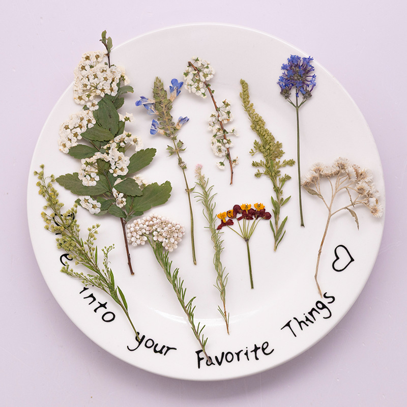 Dried Flower Bookmark - 500 шт. в большой упаковке: прессованные