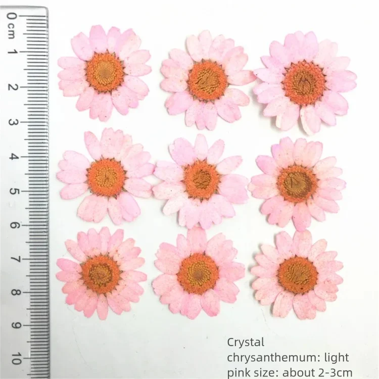 100 шт. окрашенных лепестков х – обзор и цена Dried Flower Bookmark