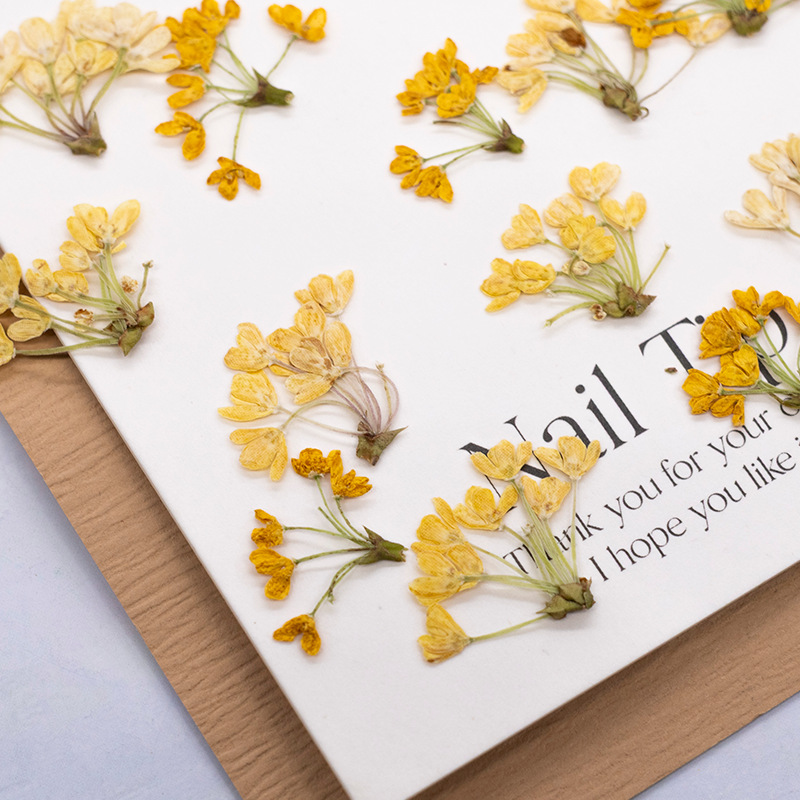 24 шт., натуральные настоящие  – обзор и цена Dried Flower Bookmark